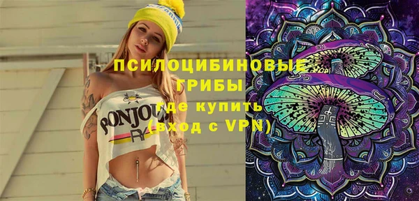 прущая мука Инта