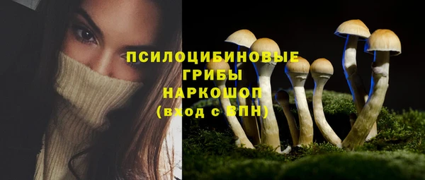 мет Каменногорск