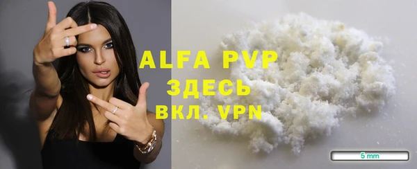 прущие грибы Чита