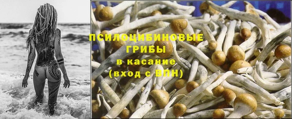 кокаин перу Каменка