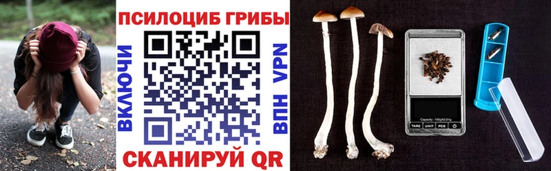 Псилоцибиновые грибы ЛСД Микунь